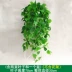 Hoa giả treo tường mô phỏng treo chậu cây địa lan nho trang trí nhựa hoa nho xanh cây nho mây điều hòa không khí phòng khách - Hoa nhân tạo / Cây / Trái cây cây mai giả trang trí tết Hoa nhân tạo / Cây / Trái cây