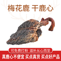  Jilin Sika deer heart dry deer heart Whole deer heart blood powder Fidelity pure deer heart 220g