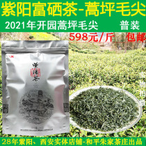 2021 New tea before the opening of the garden Shaanxi Ankang Ziyang selenium-rich tea Artemisia sparse green tea-Haoping Maojian 500g