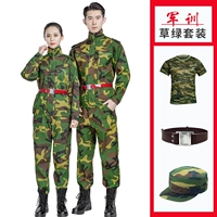 Топ травяного цвета + брюки + шапка + пояс