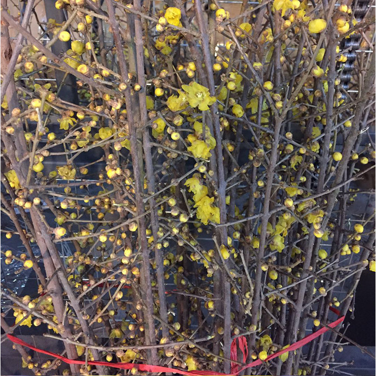 WeChat Picture_20180102160857.jpg
