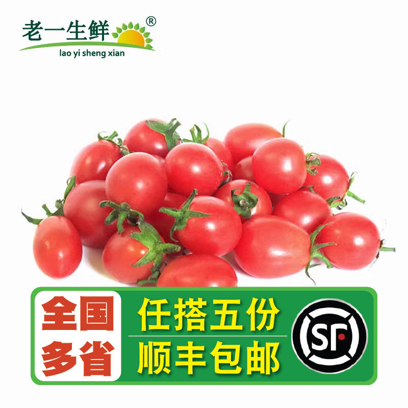(Laosheng Fresh) Fresh Cherry Tomatoes 500g Millennium Tomatoes Cherry Mini Tomatoes