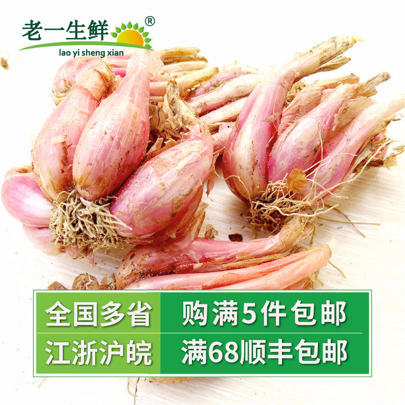 (Old and fresh) fresh special fragrant red onion stone lion small onion 500g easy to germinate mind not to shoot