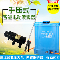 Intelligent lithium battery electric hand pressure sprayer agricultural high pressure charging fruit tree spraying machine disinfection watering can