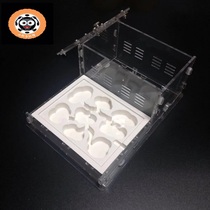 Gypsum Nest Ant Villa Ant Workshop Ant Castle Ant Pet
