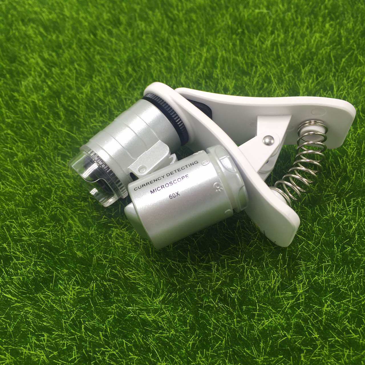 Observation of Ant-magnifying glass 60 times smaller belly ants