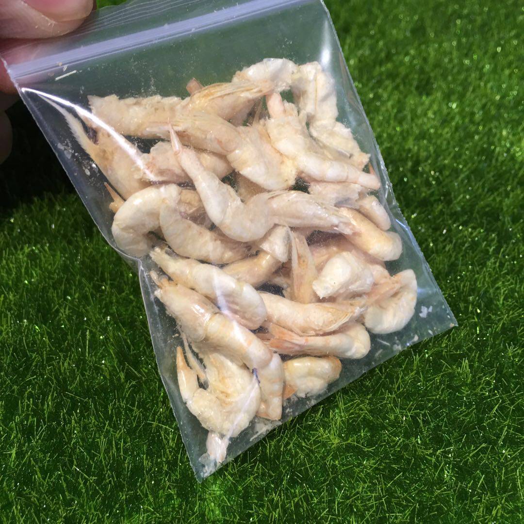 Shrimp Dry Fresh Water No Salt River Shrimp Dry Small Tummy Colony