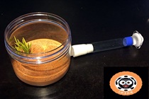 Cabbage Nest New Rear Nest Small Colony Small Belly Colony (spot)