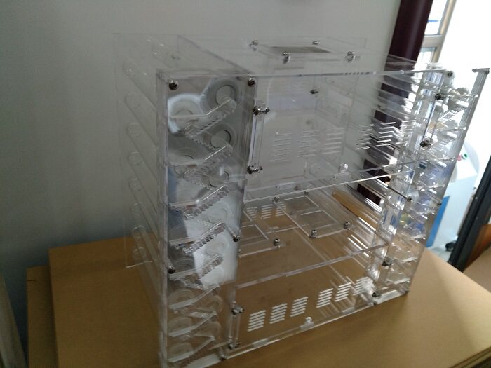 Ant Acrylic Nest 32 Test Tube Nest DT1-3220L Small Tummy Colony