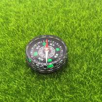 Compass Ant wild picking special small belly ant ant Hall