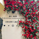 Internet celebrity check-in simulated rose wall covering the door