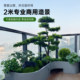 High-end bionic green plants welcoming pine bonsai clothing store window landscaping decoration floor-standing ornaments landscape plants