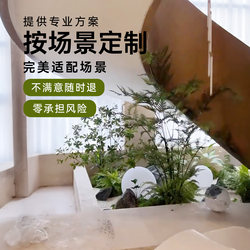 Simulated Green Plant, Fake Tree Combination, Pine, Shopping Mall, Hotel Window Decoration, Indoor Corner Landscaping Ornaments under Stairs