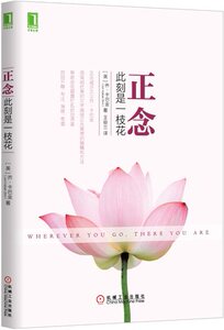 正念 此刻是一枝花+多舛的生命+正念减压自学全书 3本 正念疗愈帮你抚平压力正念减压方法书籍 正念治疗学 缓解压力心理健康辅导