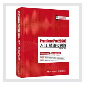 Premiere Pro 2020中文版入门、精通与实战 者_海天印象责_于庆芸 电子工业出版社 9787121399695 计算机与网络 书籍