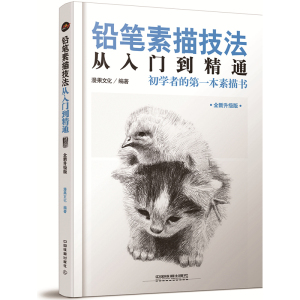 4册速写技法+铅笔素描技法+简笔画技法+写意国画技法从入门到精通 漫果文化 美术收藏爱好者零基础技法书教程