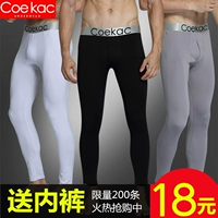 Quần nam Qiukut và quần nhung đơn mảnh, quần legging bó sát quần trẻ trung bó sát đường dài quần lót quần ấm cỡ lớn phần mỏng legging nam