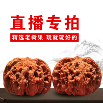 Text play walnut Lion head starry tiger head Apple garden hand play four buildings play hemp walnut live special shot