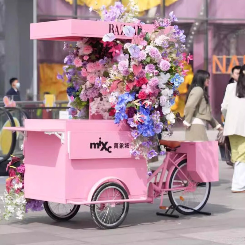 Outdoor Mobile Promotional Cart for Internet Celebrities, Three-Wheeled Display Cart, Special Promotional Push Cart for Commercial Stalls Outdoor Mobile Promotional Cart for Internet Celebrities, Three-Wheeled Display Cart, Special Promotional Push Cart for Commercial Stalls