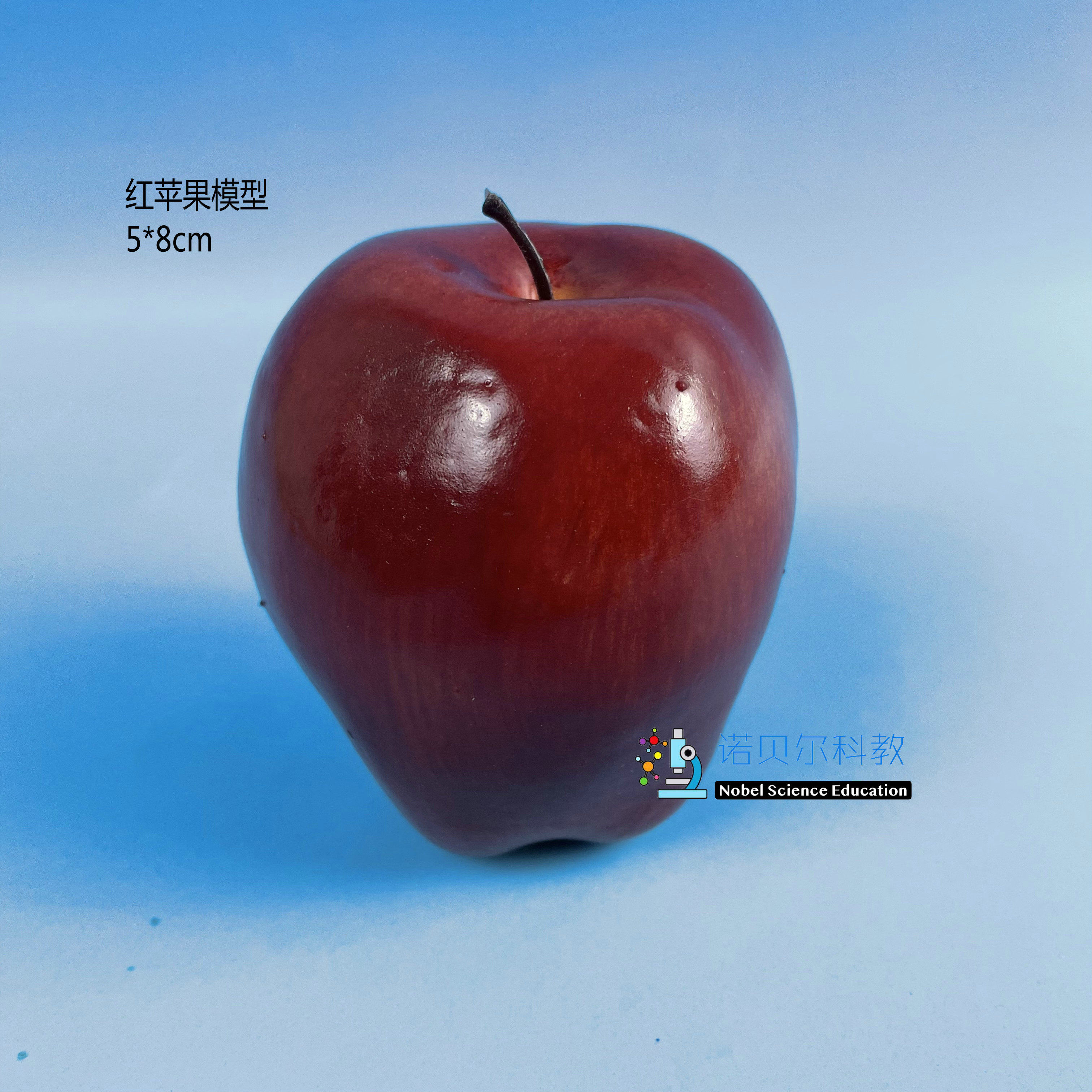 红苹果模型诺贝尔科教有关光的思考实验材料一比一大小