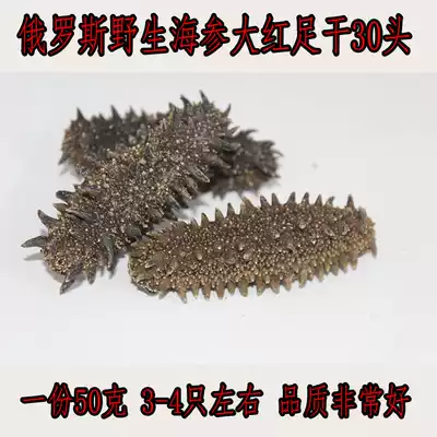 Russian sea cucumber wild sea cucumber wild sea cucumber imported sea cucumber big red ginseng foot dry sea cucumber 30 head 50g