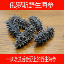 Russian sea cucumber Wild sea cucumber Light dried sea cucumber foot dried sea cucumber original 150 heads 50 grams of sea cucumber
