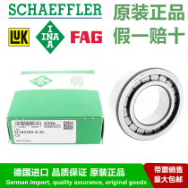 German INA Bearing R SL182209-A-XL Precision Full Complement Roller Bearing Imported Bearing