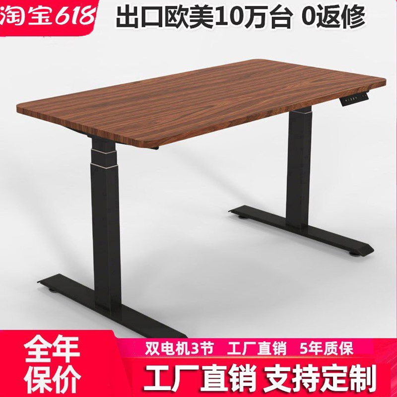 Standing Computer Desk, Office Desk Stand, Smart Adjustable Automatic Electric Lift Table, Desktop Table for Home Use