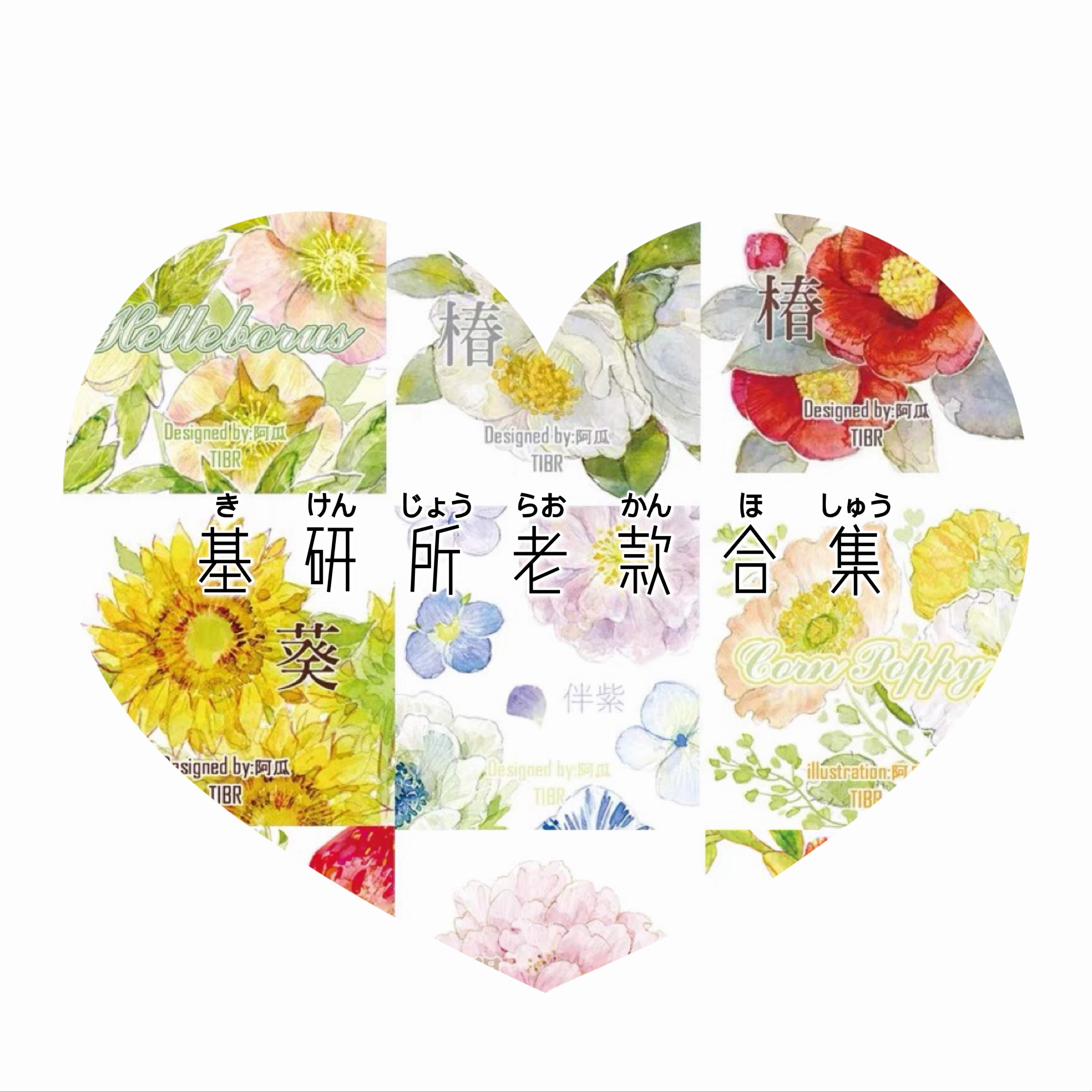 33et25amis) Basic IAS Adhesive Tape Split of sunflower Purple Iron Chopsticks Toon of Cherry Blossom on a certain day March