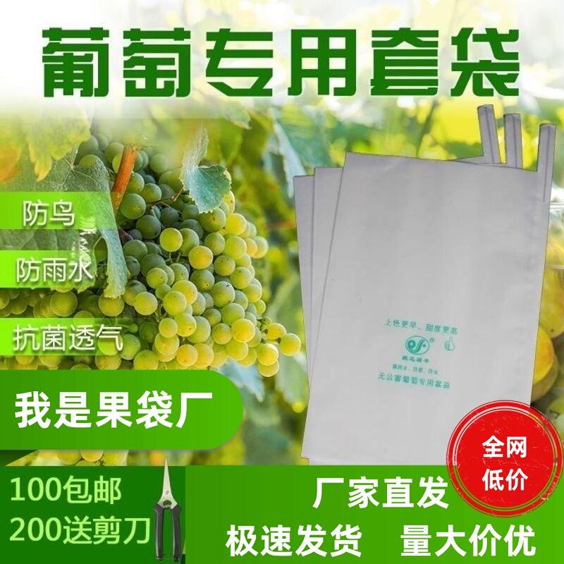 Special Bags for Grape Bagging, Insect-Proof, Bird-Proof, Rain-Proof Paper Bags, Fruit Protection Bags, Lotus Fruit Packaging Bags