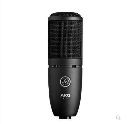 AKG Love Tech P120 Capacitive Microphone Professional Recording Live K Singer Machine Live Mic
