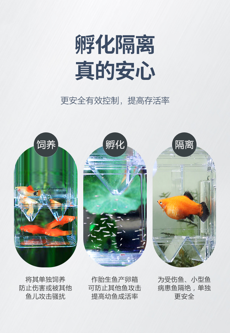 工廠直銷 孔雀魚繁殖盒魚缸隔離盒特大號產卵孵化產房小魚苗幼大魚孵化器 露天拍賣 工廠直銷 孔雀魚繁殖盒魚缸隔離盒特大號產卵孵化產房小魚苗幼大魚孵化器 露天拍賣