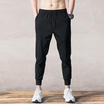 Drawstring pants mens 2021 summer thin casual pants Harun pants spring and Autumn trend all-fit slim small feet sweatpants