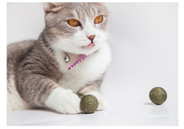 Touchcat catnip bóng mèo gây nghiện bóng cỏ mèo đồ ăn nhẹ làm sạch răng mol đồ chơi mèo cung cấp cỏ bạc hà - Đồ ăn nhẹ cho mèo cá ngừ hộp