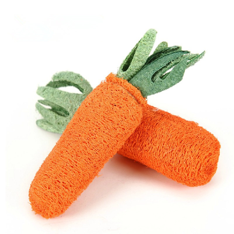 Carrot Silk Melon natural pet Toy Rabbit Guinea Pig Dutch Pig Dragon Cat Squirrel and other Pets Grinding Teeth