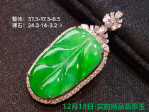 On December 18th the real shot boutique jade ice Sun green leaves are bright and sweet with vitality.