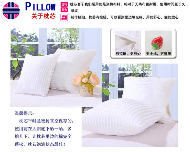 Coussin Manga      - Ref 2687555 Image 10