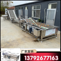 Large-scale commercial fruit and vegetable spray cleaning cherry beads citrus edamame bubble cleaning machine pear paste pepper deep processing equipment
