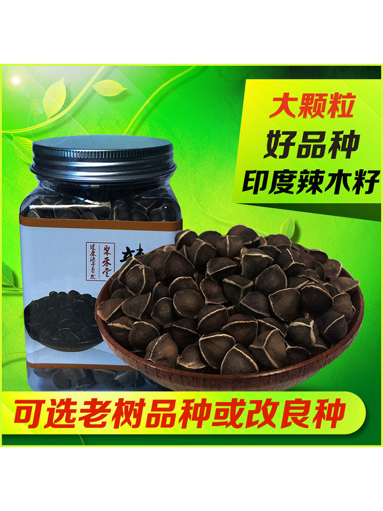 Authentic wild Indian imported moringa seeds 500g Natural African selected moringa seeds grown and eaten