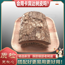 Authentic Angola Cabinda bark 250g wild kuba bark male nourishing soak wine material is incomparable with leather