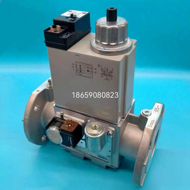 Lenney gas solenoid valve group DMV-DLE5065/11 burner valve solenoid valve DN65 double solenoid valve