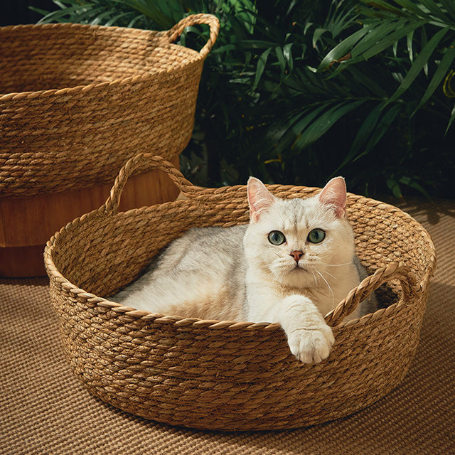 ຮັງແມວຫວາຍ summer cool nest universal cat bed grass woven mat nest internet celebrity cat mat pet supplies