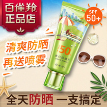 Pine antelope Sunscreen Milk female summer facial anti-ultraviolet special Face Mens official flagship store official website