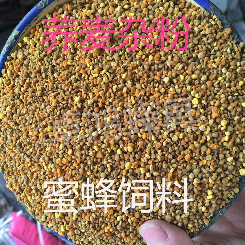 Inner Mongolia Buckwheat Pollen Buckwheat Mixed Powder Feeding Bee Pollen Beekeeper Special Pollen Bee Grain 5 Jin