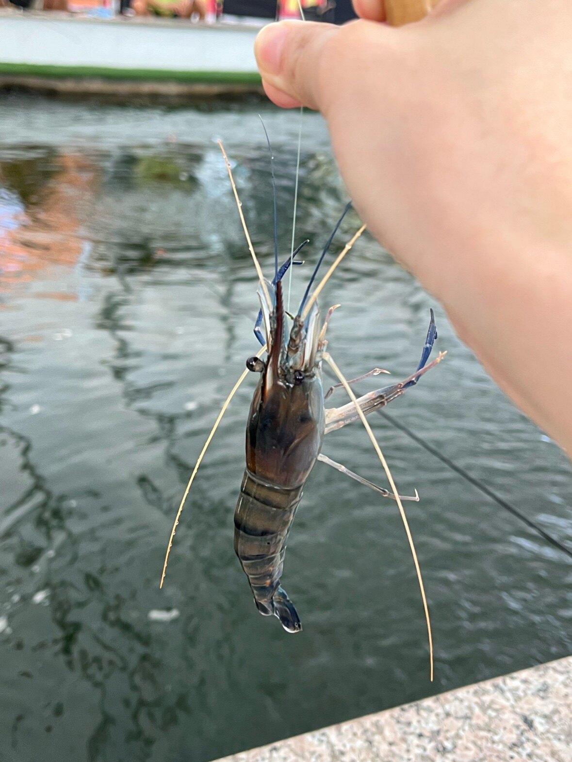 野钓装备库