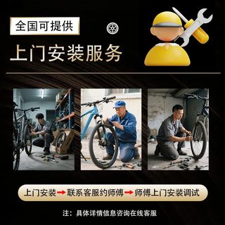 上海凤凰品牌专属上门安装山地自行车公路车