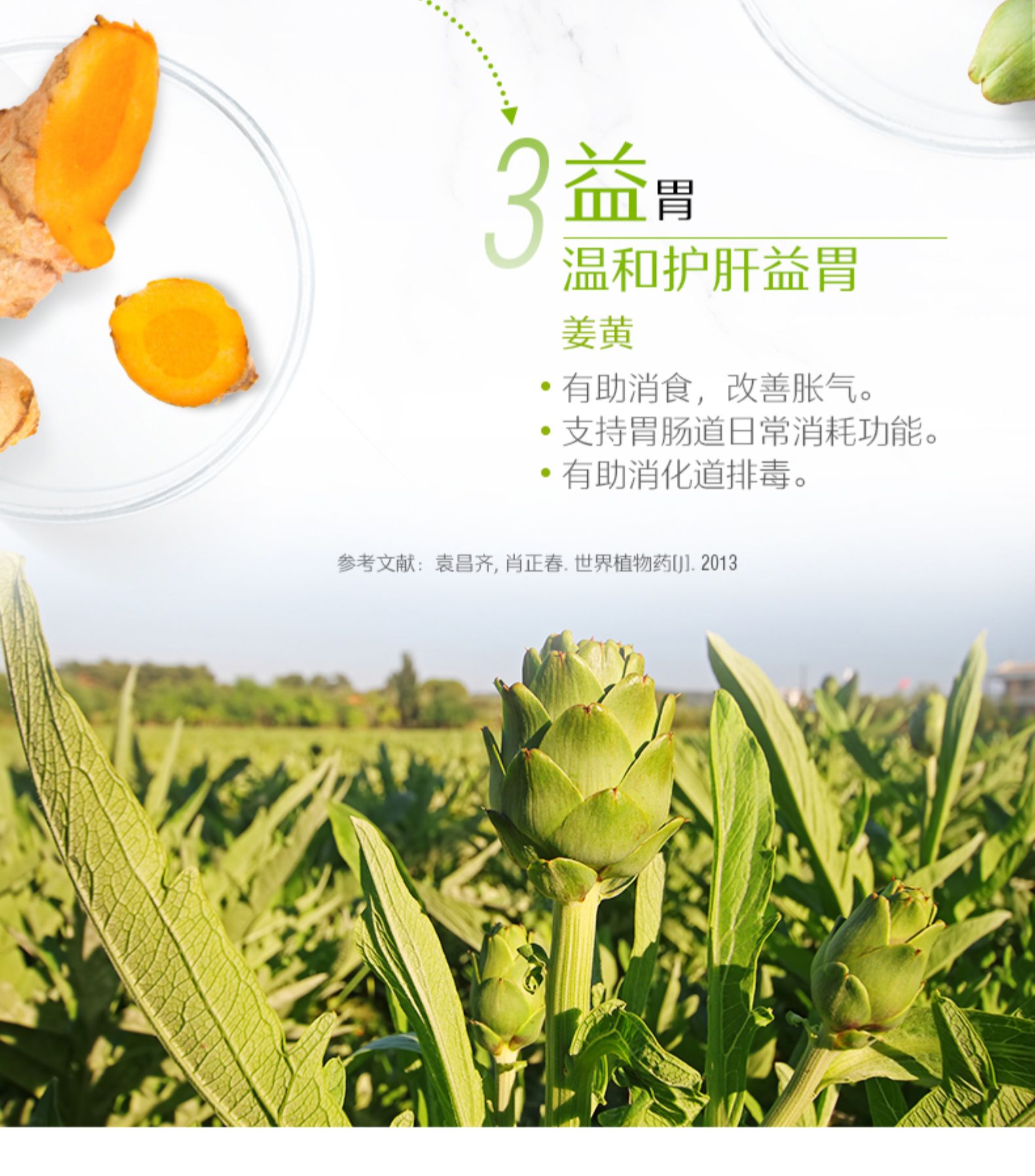 斯维诗Swisse奶蓟草片护肝片