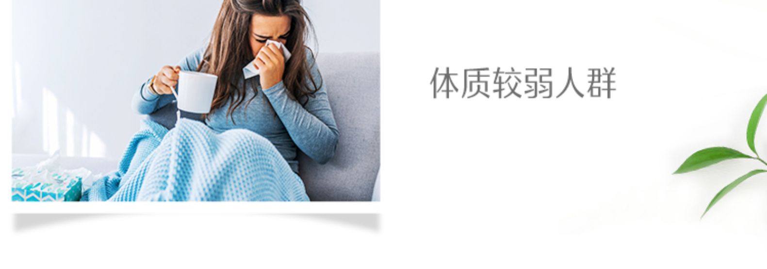 斯维诗Swisse有机螺旋藻片