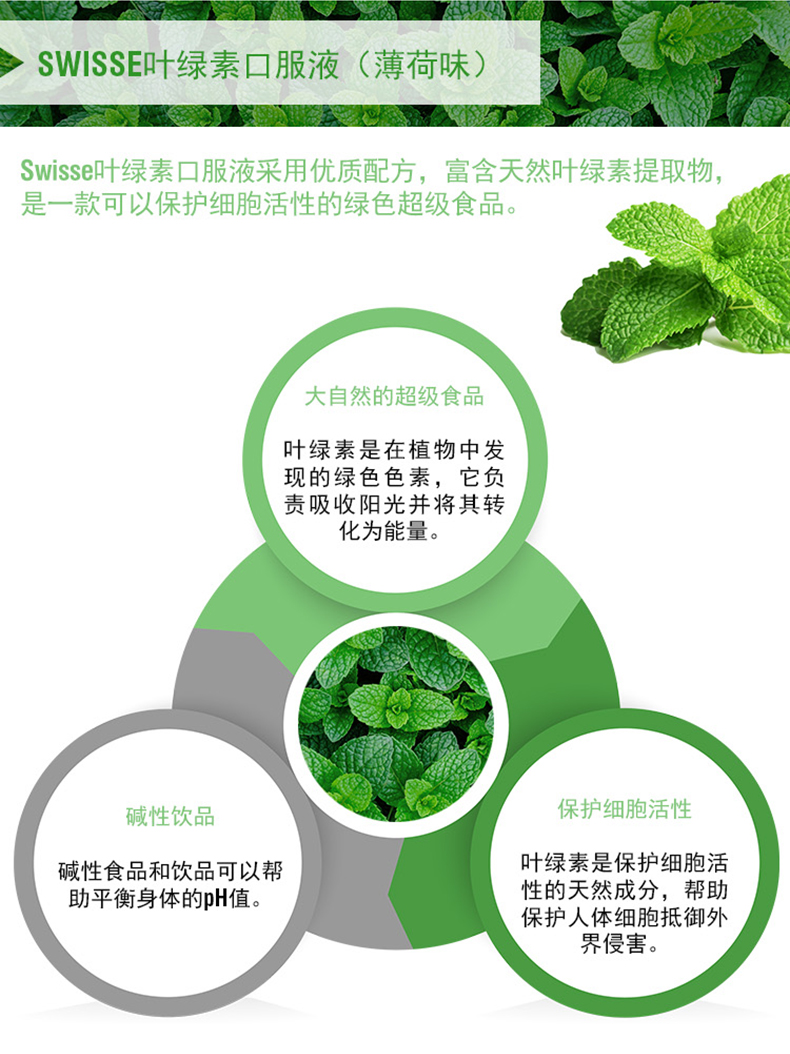 Swisse薄荷味叶绿素口服液500ml清体美颜成人调理肠胃 我们的产品 第2张 Swisse薄荷味叶绿素口服液500ml清体美颜成人调理肠胃 我们的产品 第2张