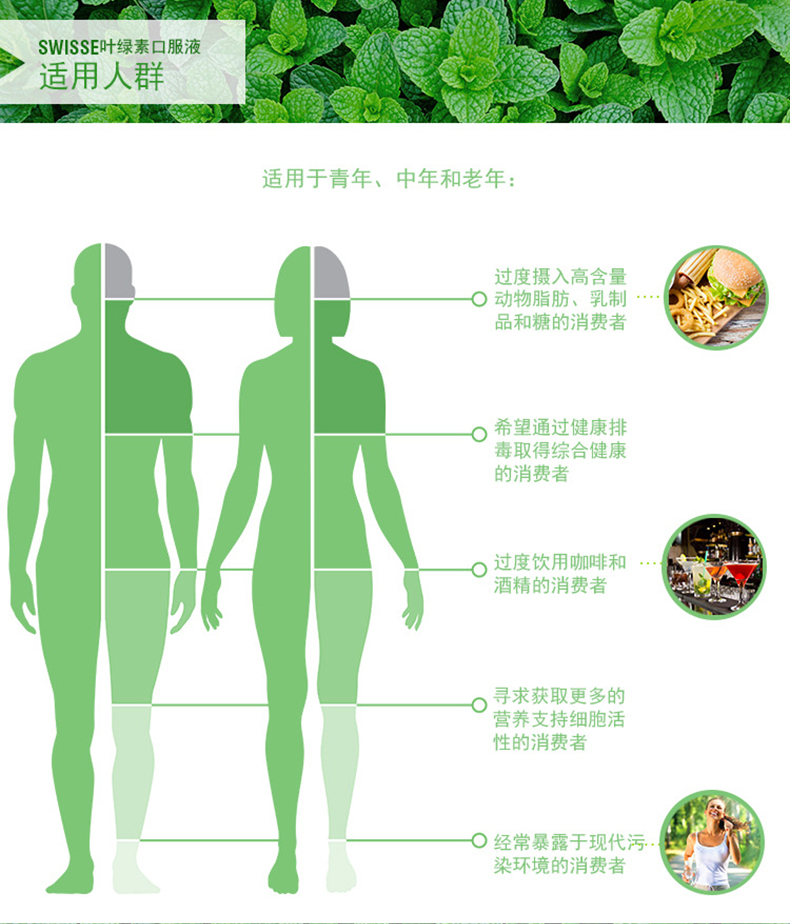 Swisse薄荷味叶绿素口服液500ml清体美颜成人调理肠胃 我们的产品 第6张 Swisse薄荷味叶绿素口服液500ml清体美颜成人调理肠胃 我们的产品 第6张